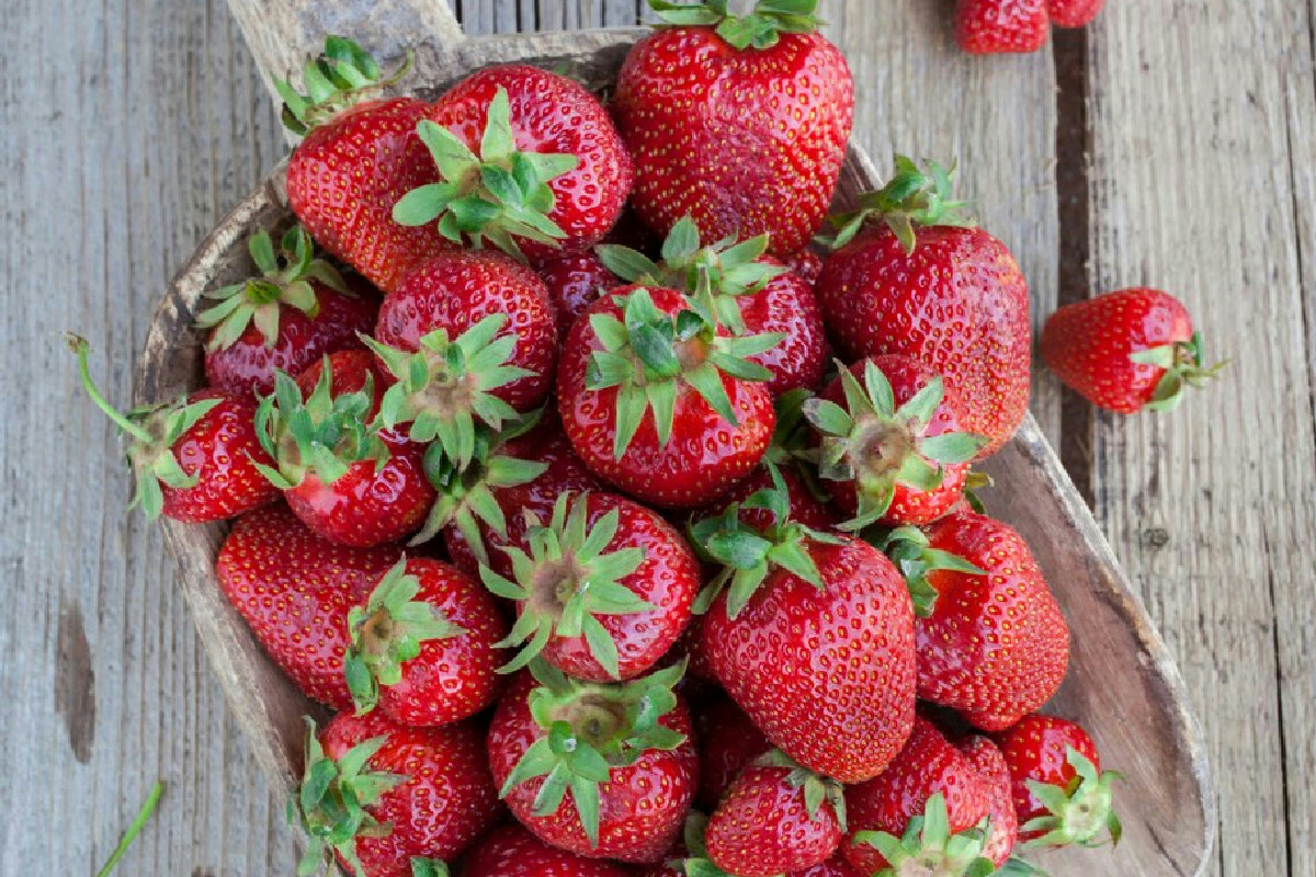 Cosa accade al cervello consumando tre porzioni quotidiane di questo frutto anti-demenza senile