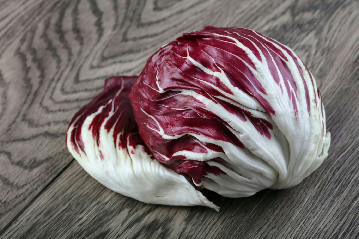 Cosa cresce nell’orto invernale: il radicchio amaro che migliora benessere e gusto