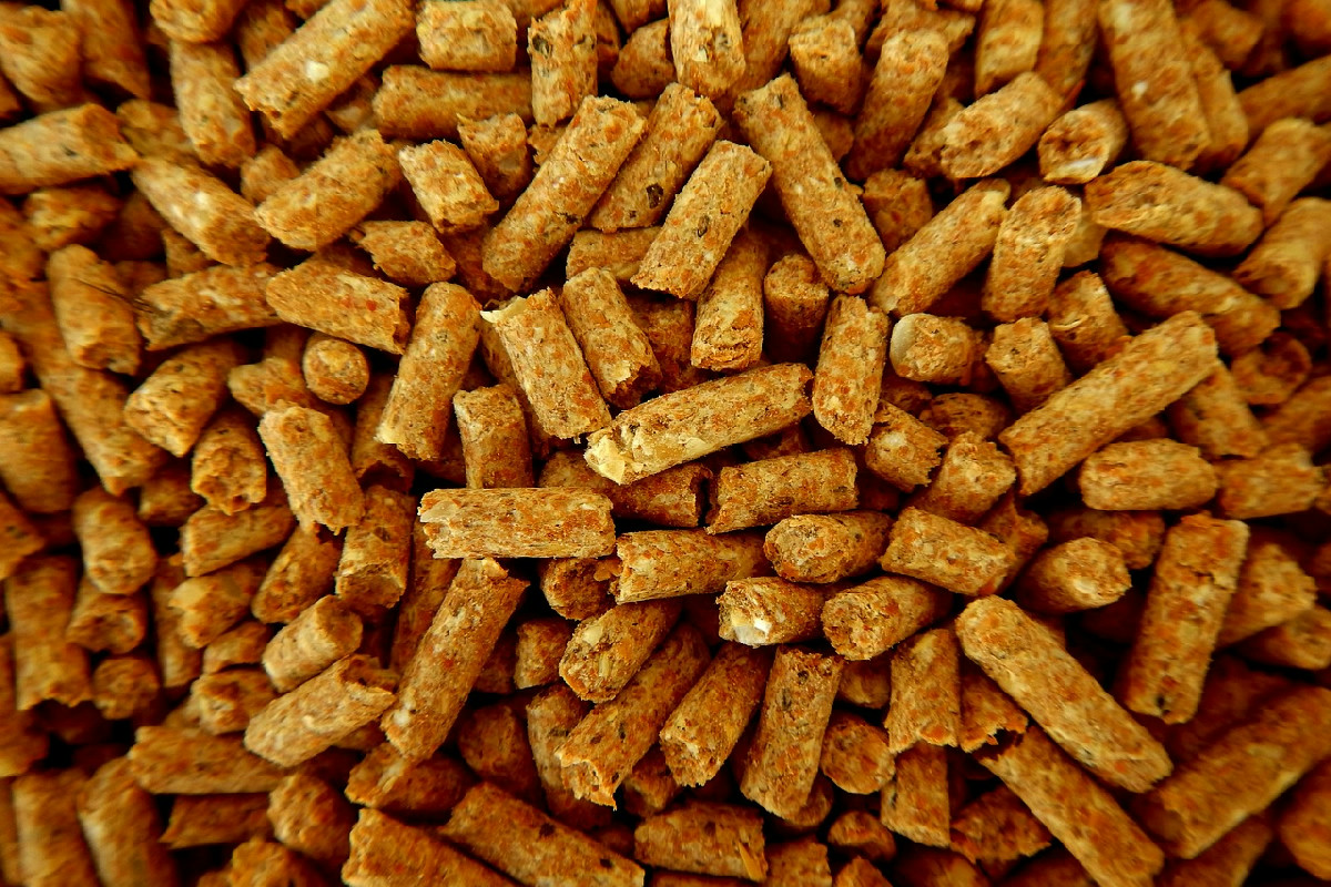 La stufa a pellet non riscalda bene: cosa causa la perdita di calore e spreco di denaro in casa