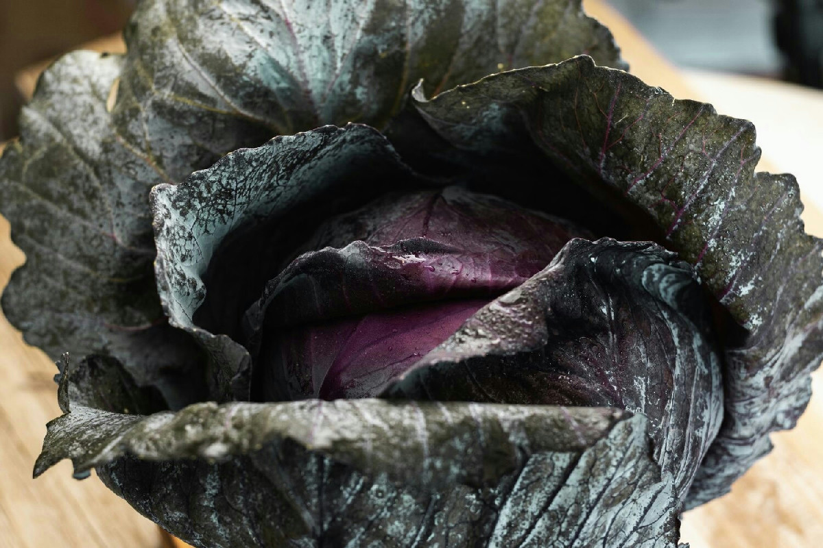 La vellutata di cavolo nero e patate: comfort food ideale per le giornate fredde e avvolgenti gusti